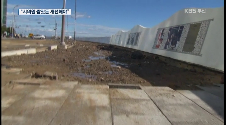 연간 300억 원 시의원 쌈짓돈 개선해야