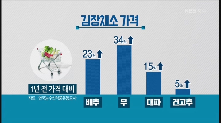 장바구니 물가 인상…김장 부담
