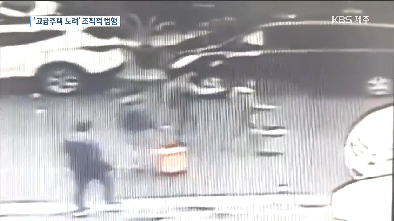 '고급 주택 노려' 중국 원정절도단 검거