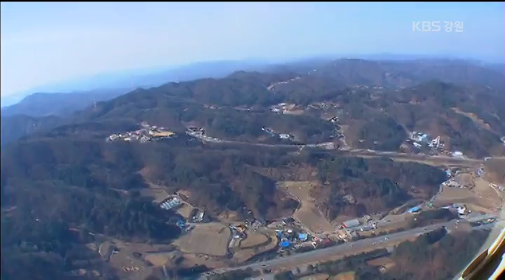 재선충 청정 강원까지 위협…산림 지키기 안간힘