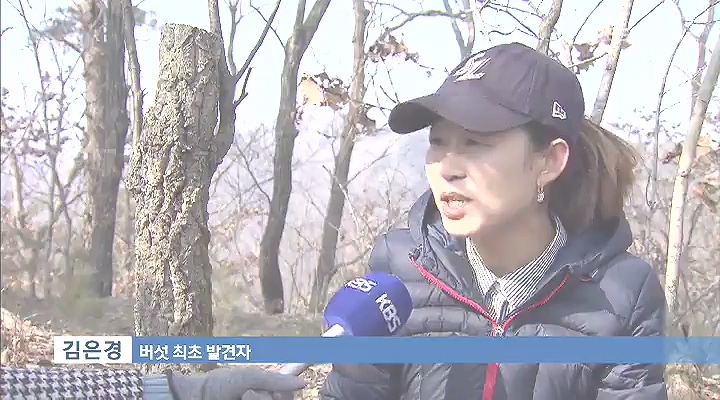 '송로버섯' 하위종 국내에서 첫 발견