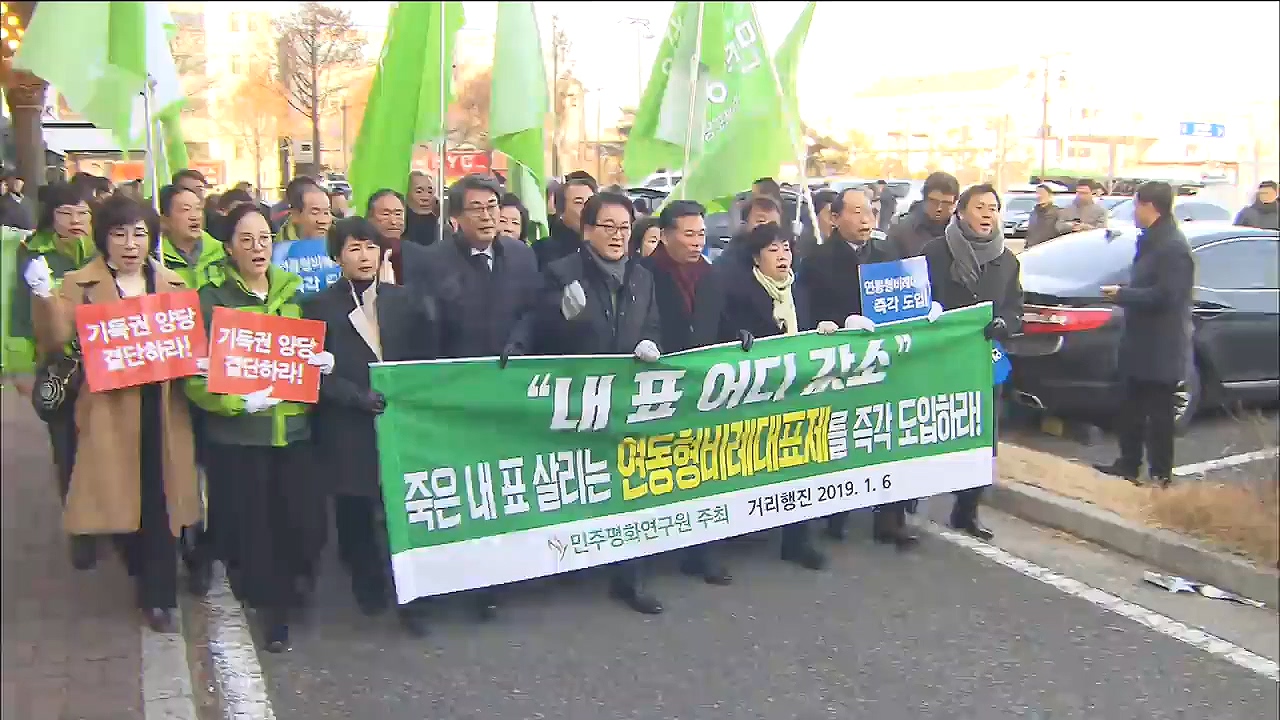 선거 개혁 외치더니...지역구 축소 '타령'