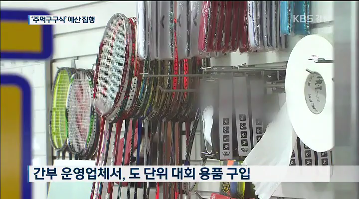 주먹구구 협회 운영…업무처리 '부적절'
