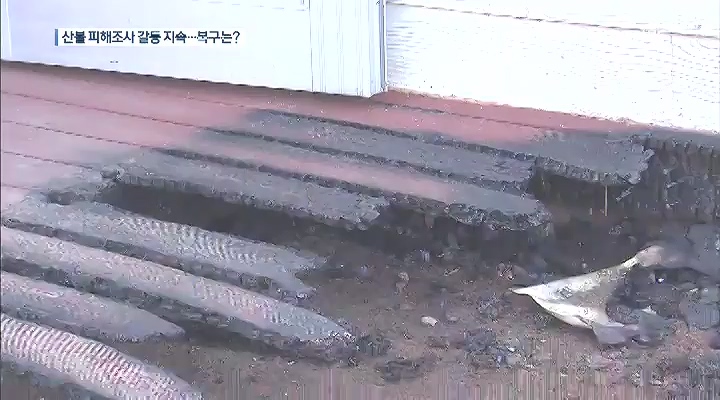 산불 피해 조사 마무리...복구 본격