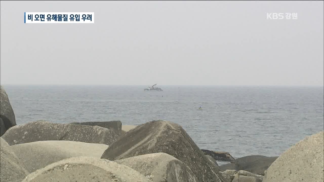 산불 후폭풍 '해양생태계 황폐화' 비상