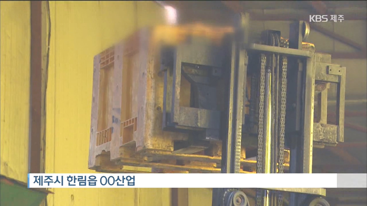 안락사된 유기견 사체 재활용 논란… 일반폐기물vs의료폐기물